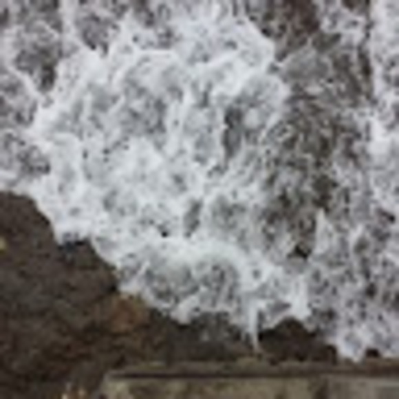 Meet your Posher. - Picture 1 of 1